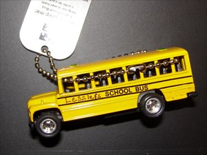Lesslers School Bus