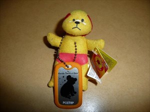Surf the Rescue Bear