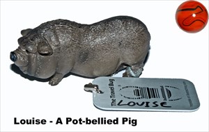 A Pot-bellied Pig; Louise
