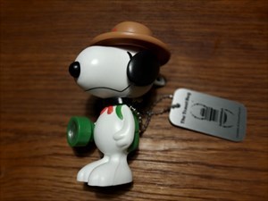 Snoopy the Boyscout