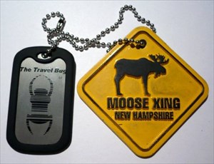 Moose Xing