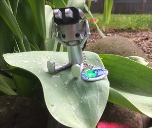 Chibi-Robo in the garden