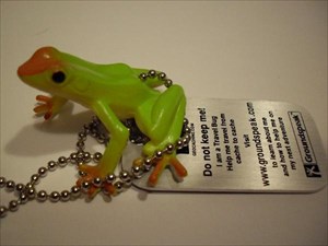 AMTG Green Frog With Brown Toes