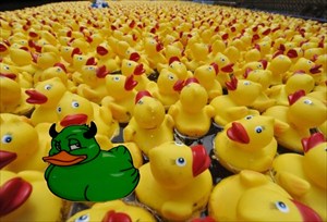 c2ic - Envy Ducks Tag