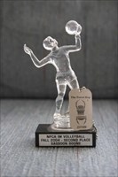 Volleyball Trophy and Tag