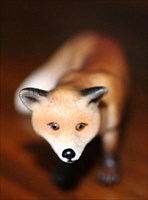 Brown Fox Cub