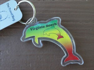 Virginia Beach Dolphin