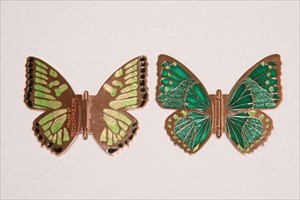 Butterfly_Copper