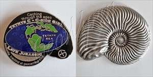 Ammonite Series - Late Jurassic