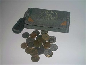 Travel Bag Coins