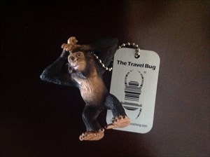 Chester the Chimp