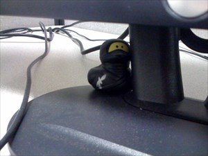 Ninja Ducky Hides in the office