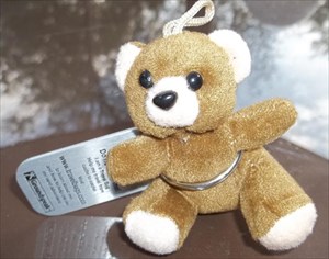 Taylor&#39;s Traveling Teddy