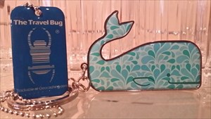 Kaboodle the Blue Whale