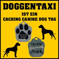 [DoggenTaxi]