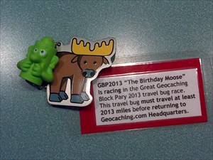 The Birthday Moose is on his way!