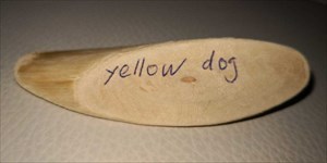 2019-05-15 yellow dog