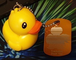 Daffey The Geo Duck