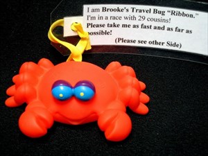 Brooke&#39;s Travel Bug &quot;Ribbon,&quot; Life # 2