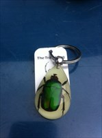 The Beetle Bug Travel Bug