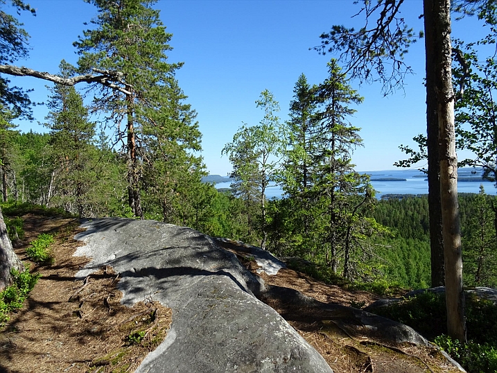 A view from Koli national park.