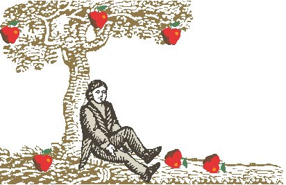 Newton Apfel