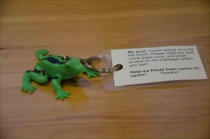 Replacement Trackable - I&#39;m now a frog