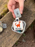 Brand new trackable Kevin the Dinosaur starting his journey in Wales! Please help him travel to Mexico! Looking forward to watching him travel the world!!