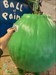 Well, just set a world record by putting the latest layer of paint on the biggest ball of paint.  Log image uploaded from Geocaching® app