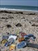 strand tbs TBs und Coins am Strand auf Helgoland