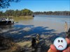 Murray and Darling River Junction. The Meeting of two of Australia&#39;s big rivers. The Milky coloured darling is carrying Queenslands flood waters and the murray has been carrying VIctorias Flood Waters. The water has been very high, but It&#39;s dropped now.