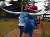We found Babe and his friend Paul in Sayner, WI That&#39;s some set of horns! Babe didn&#39;t want to get too close to them!