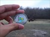 Coin with Oklahoma bison in background