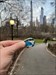 Leaving Central Park!  Log image uploaded from Geocaching® app