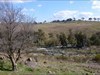 Nearby Molonglo River
