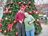 Ma and Pa (Bev and Carl) of Flying Pig Farm. &quot;Is that  a Christmas tree? Cool! Am I staying with you guys for Christmas? You don&#39;t eat Lamb for the Holiday, do you? I mean, you own a hog farm, surely you have pork or ham or something, right?&quot;