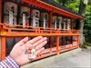  With sake dedicated to the shrine from each sake brewery.