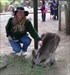 2 Sydney MaxB petting Kangaroo