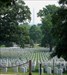 DC Arlington Cemetery