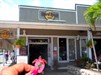 Hard Rock Cafe Maui GeoPig loves to visit Hard Rock Cafes!