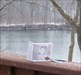 218 rsula the Dove on the river Ursula the Dove on the St Joseph River in Michigan