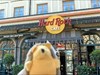 Hedgy visits the Hard Rock Cafe