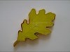 My Leaf Oak Coin Prize