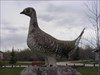 Buffy With Sharptail Grouse The Ashern Sharptail is a giant statue of a grouse that is hunted in that area (Ashern MB)