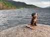 Stoped by to look for Nessie. 

 Log image uploaded from Geocaching® app