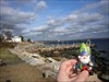 Fishin Wizard near Mystic, CT. DNF&#39;ed the cache, but got a pic near Mystic for the log.