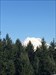 Visiting Mt Rainier in WA  Log image uploaded from Geocaching® app