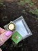 Found this pretty coin today in this cache in Leiston, Suffolk. We will move you on soon to continue your journey!  Log image uploaded from Geocaching® app