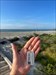 Yoshi has had a great time at Myrtle Beach. He went and said goodbye one last time. He is on his way to Rodanthe in the Outer Banks. Log image uploaded from Geocaching® app