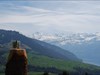 Aussicht - Berge Hinter dem Wald ist der Mönch - das Jungfraujoch und die Jungfrau sichtbar. Unten liegt der Thunersee